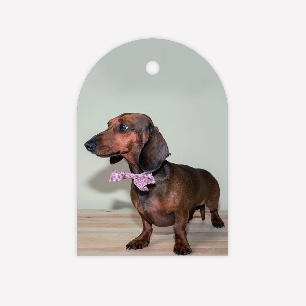 Arch gift tag - selfie(set of 20)
