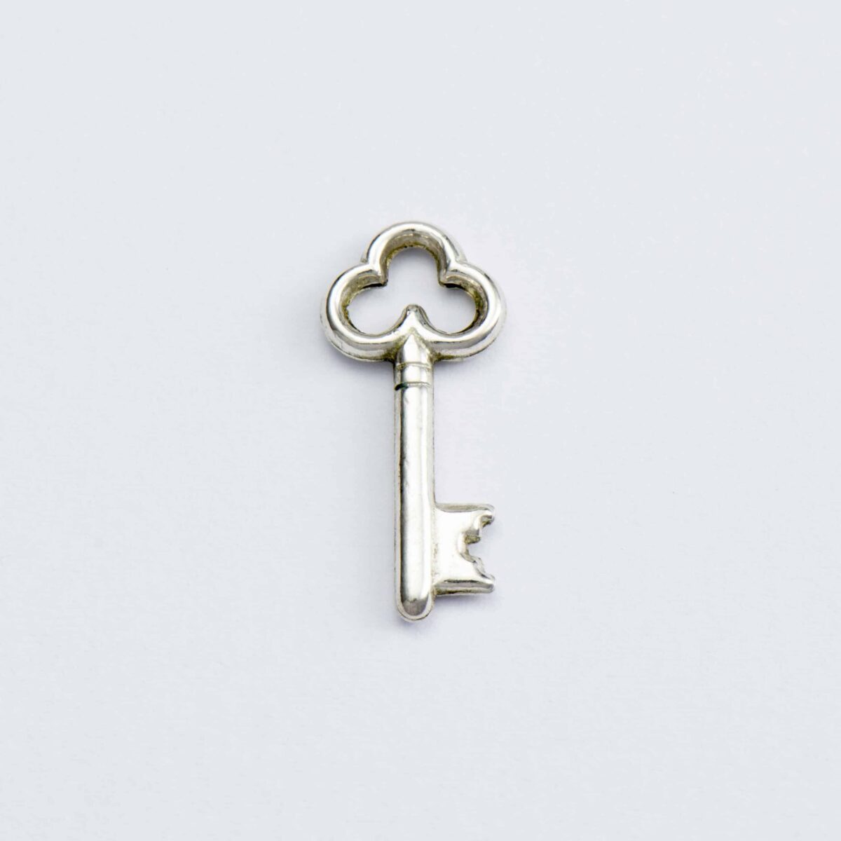 Pendant in customised box <br><em>silver key</em> - Image 2