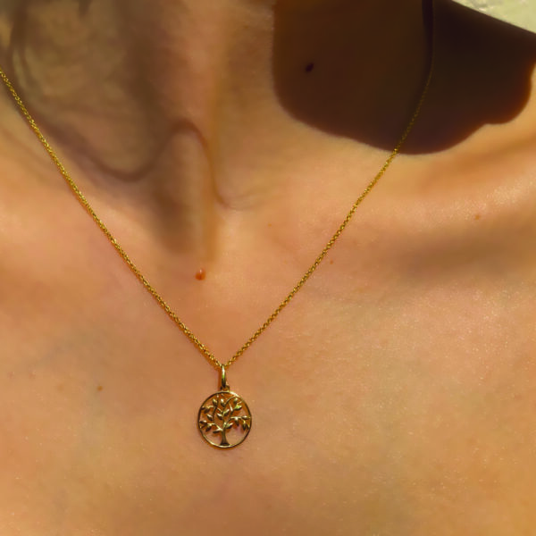 Pendant in customised box <br><em>tree of life</em>