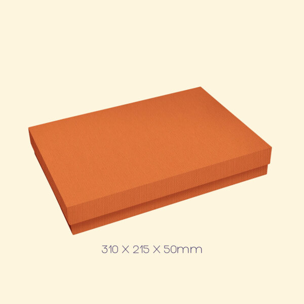 Box (310 x 215 x 50mm)