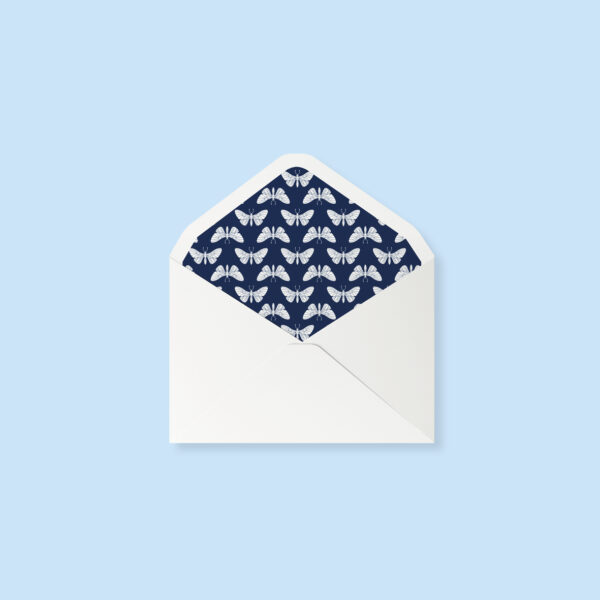 Envelope - butterfly (set of 10)