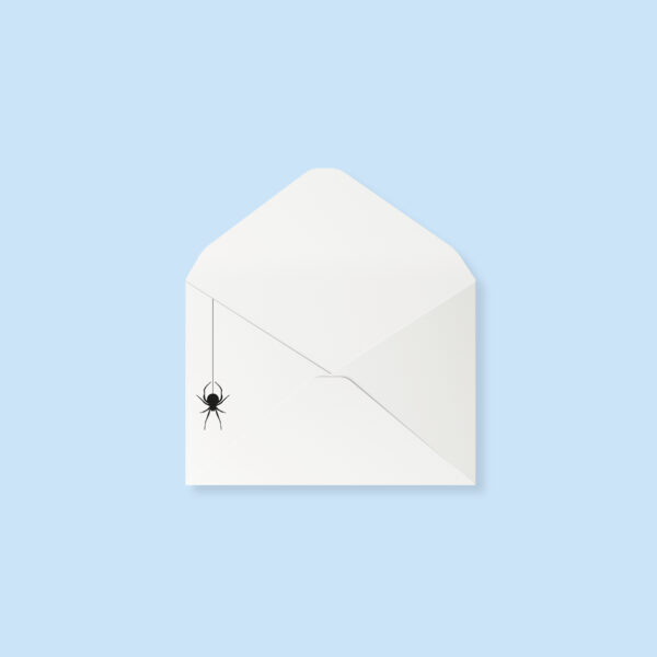 Envelope - spider (set of 10)